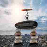 什﻿么​叫‌网﻿站﻿收﻿录​